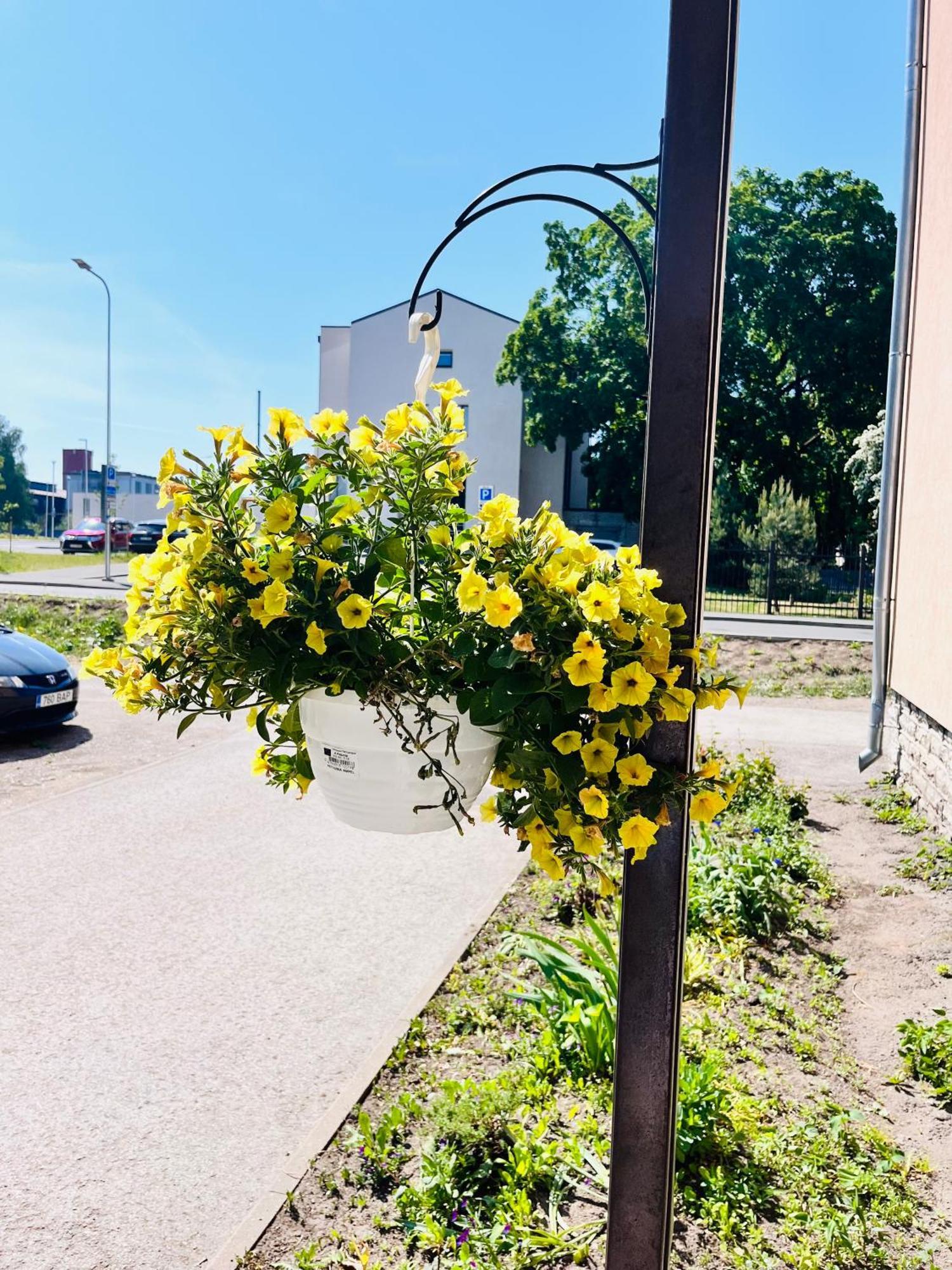 Tallinnhousing Studio For 4 With Free Parking Экстерьер фото